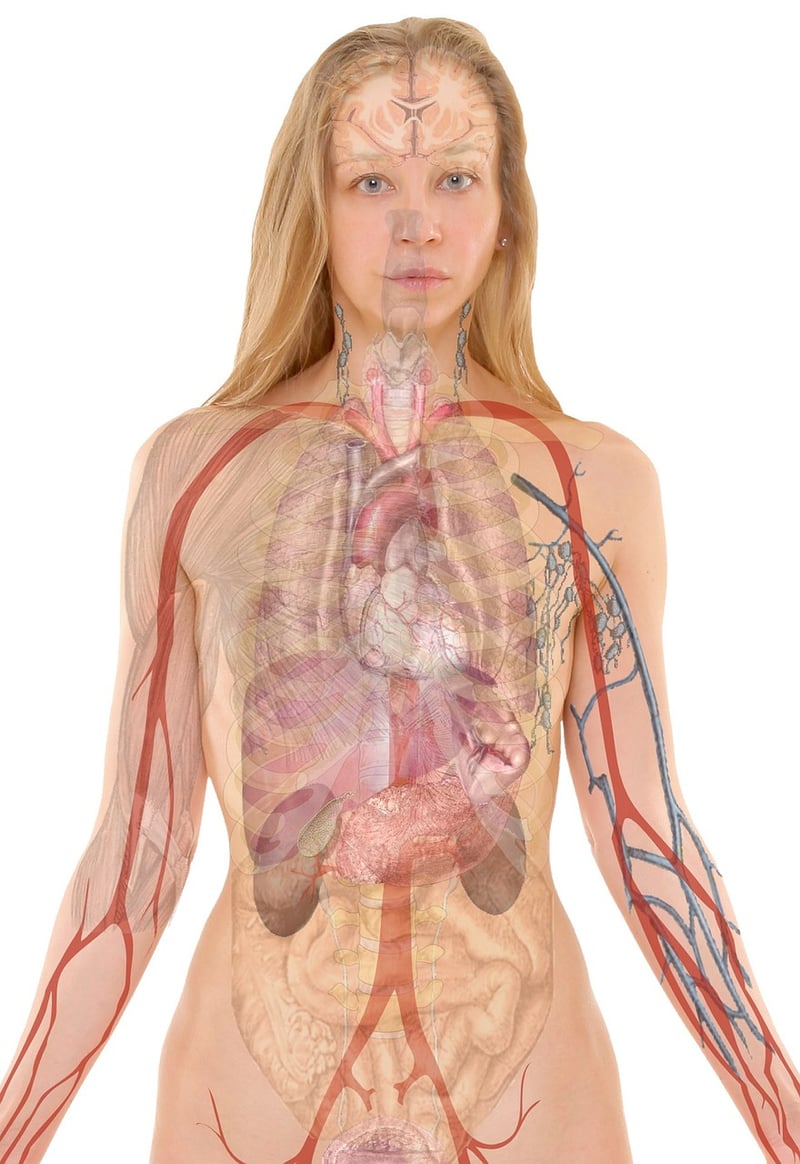 Mind-body connection
